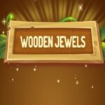 Houten juwelen